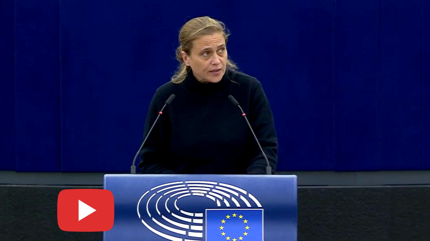 Silvia Modig puhumassa luontokato Strasbourgin EU-parlamentissa.